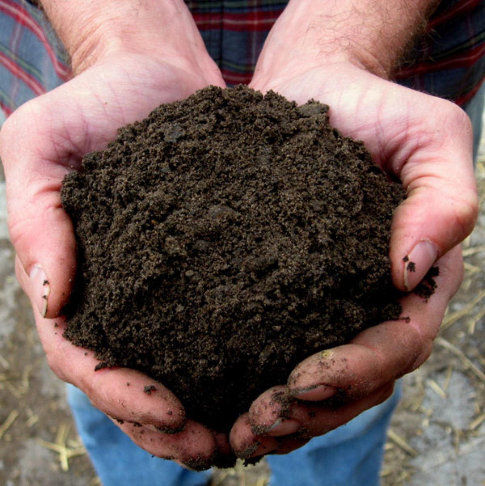 Soil Component - Horticultural Sand